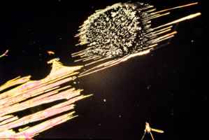 Crystallizations in polarized light
