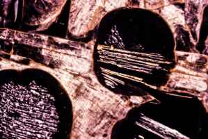Crystallizations in polarized light