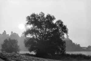 Solothurn, early in the morning in the fog