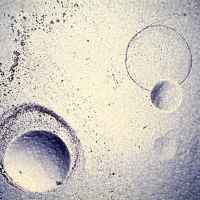The beginning