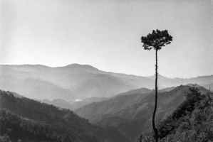 Northern Luzon