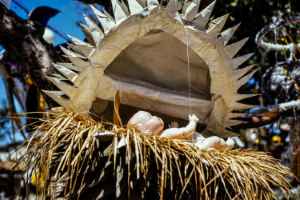 Davao, Christmas. Hopefully the mega durian doesn't close...