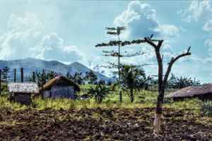 In the highlands of Mindanao