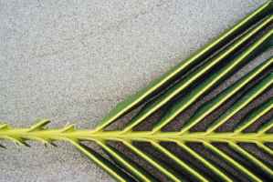 Art. You can find it on the beach...