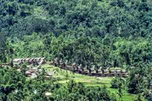 Houses in Tana Toraja