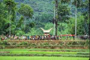 Big Procession