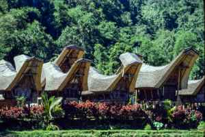 Houses in Tana Toraja