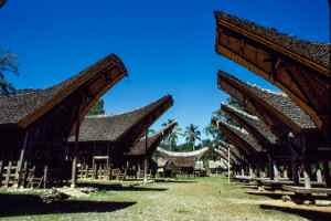 Houses in Tana Toraja