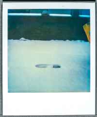 Workshop 1981 with Christian Vogt, Instant Photo Session: A task for pictures with a cloth