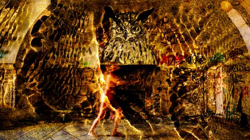 Ich brauche Freiheit