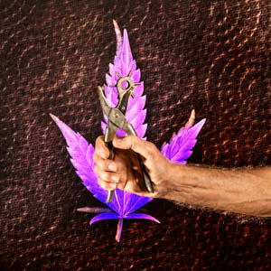 THC - and some side effects