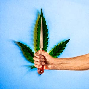 THC - the human compentence