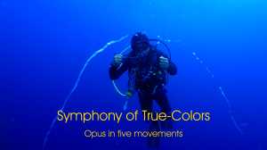 Farben - Soweit das Auge reicht